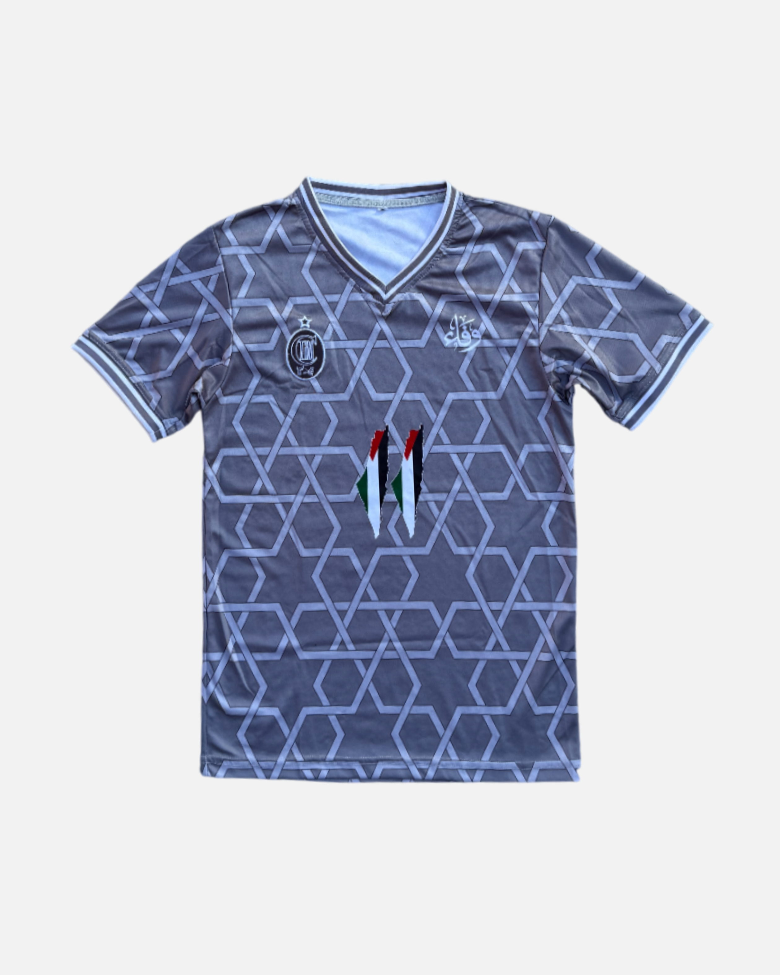 Palestine Grey T-Shirt