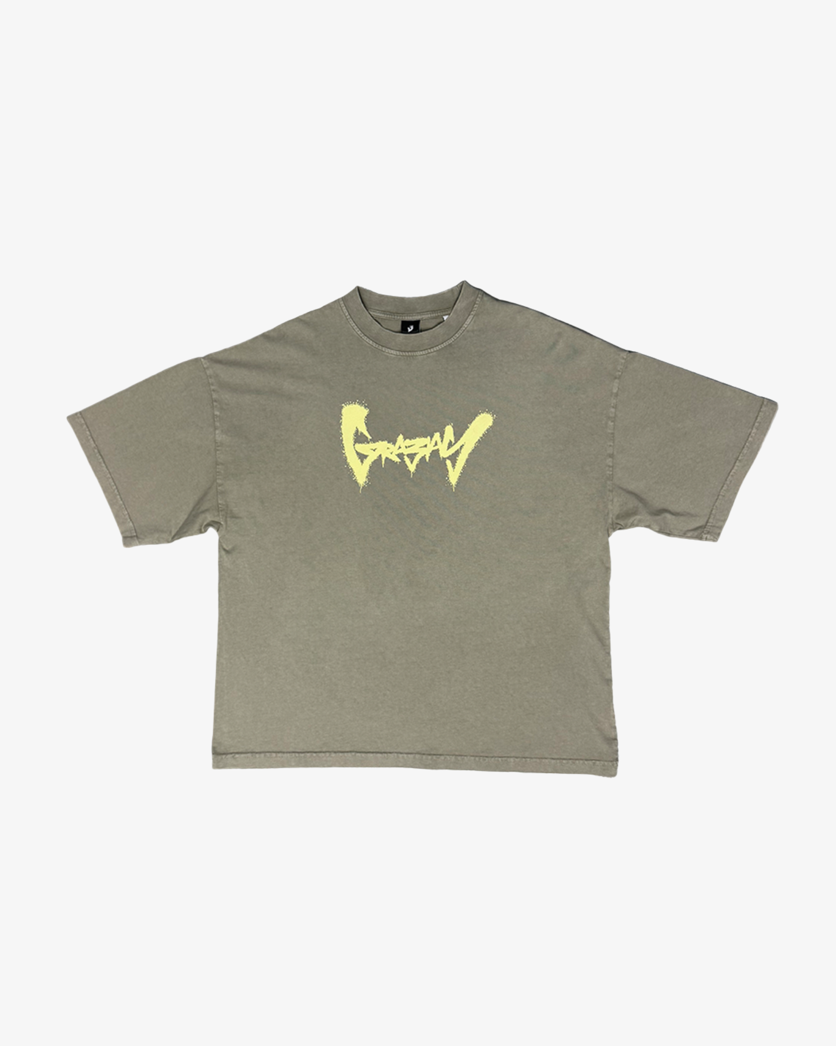 Original Z Desert Dust Oversized Boxy Tee