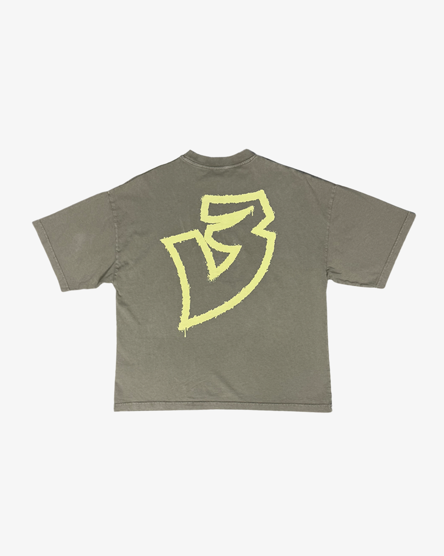 Original Z Desert Dust Oversized Boxy Tee