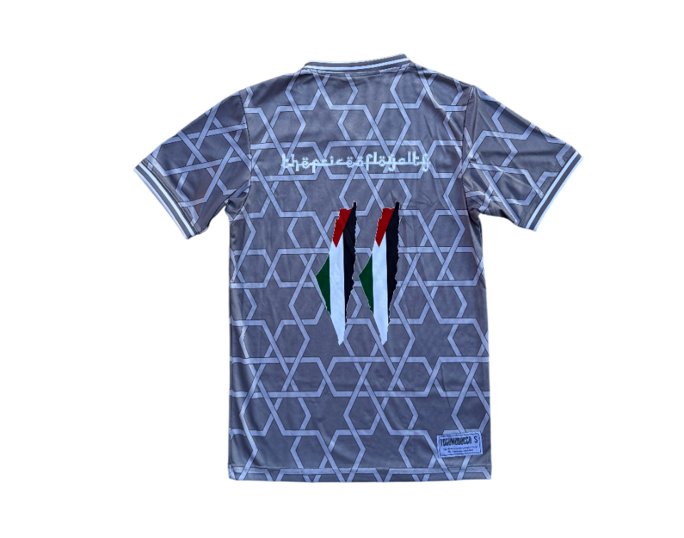 Palestine Grey T-Shirt