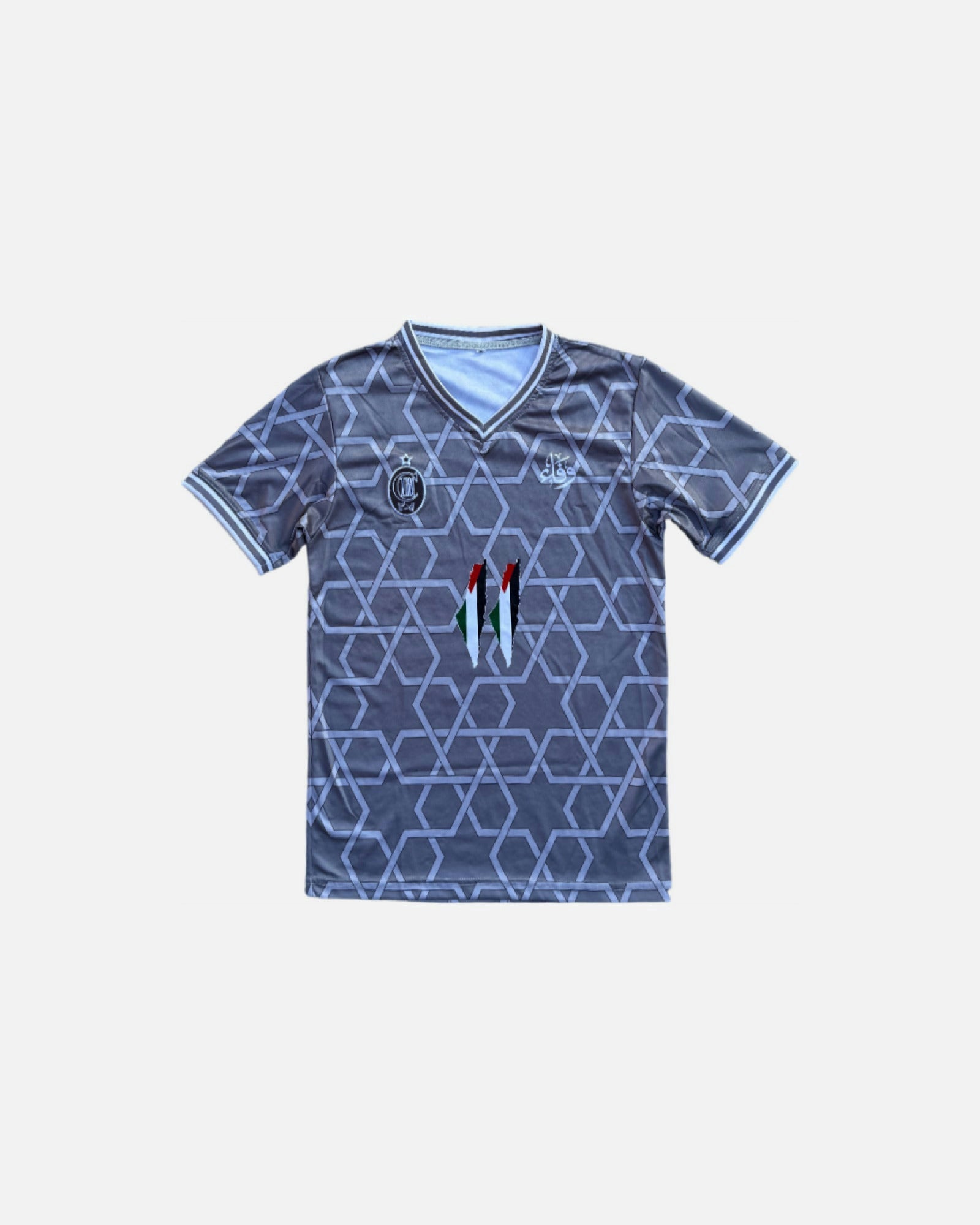 Palestine Grey T-Shirt