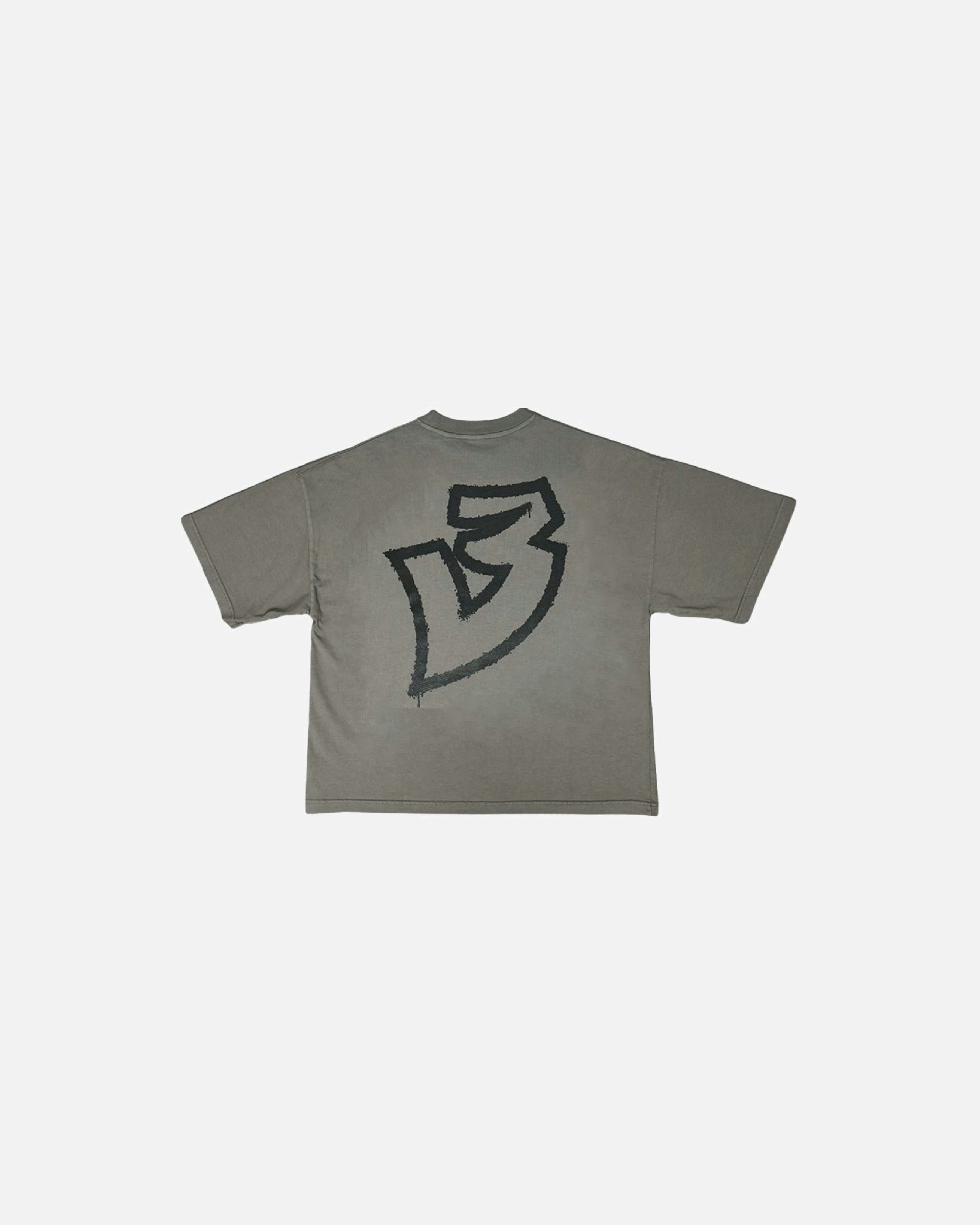 Original Z Grey Oversized Boxy Tee